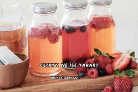 Cetryn Ne İşe Yarar?