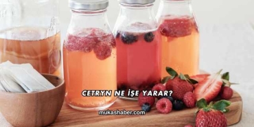Cetryn Ne İşe Yarar?