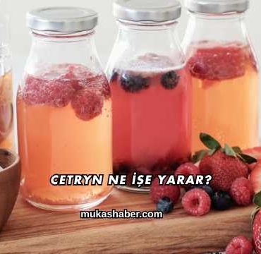 Cetryn Ne İşe Yarar?
