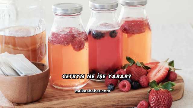 Cetryn Ne İşe Yarar?