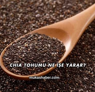Chia Tohumu Ne İşe Yarar?