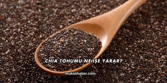 Chia Tohumu Ne İşe Yarar?