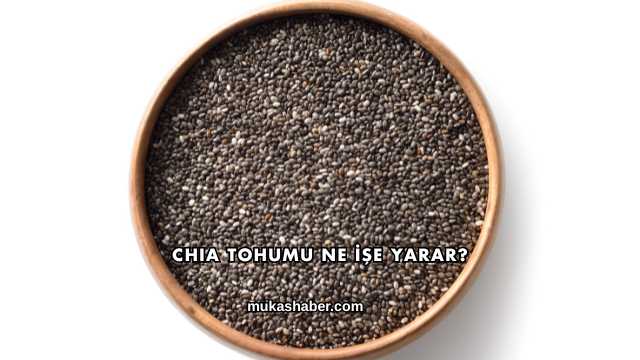 Chia Tohumu Ne İşe Yarar?