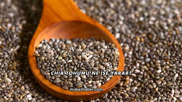 Chia Tohumu Ne İşe Yarar?