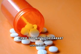 Cipro 500 Mg Ne İşe Yarar?