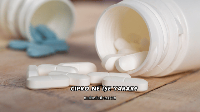 Cipro Ne İşe Yarar?