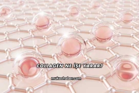 Collagen Ne İşe Yarar?