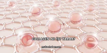 Collagen Ne İşe Yarar?