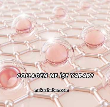 Collagen Ne İşe Yarar?