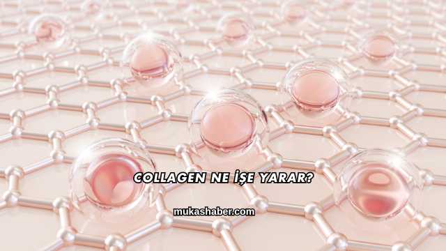 Collagen Ne İşe Yarar?