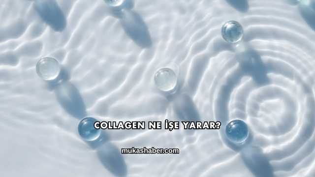 Collagen Ne İşe Yarar?