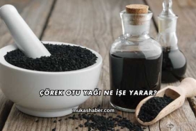 Çörek Otu Yağı Ne İşe Yarar?
