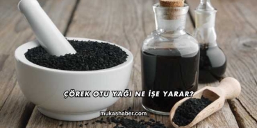 Çörek Otu Yağı Ne İşe Yarar?
