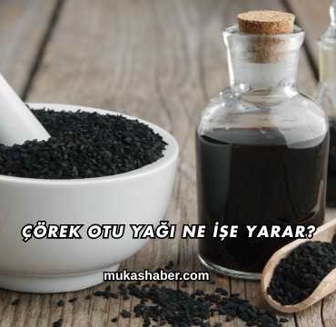 Çörek Otu Yağı Ne İşe Yarar?
