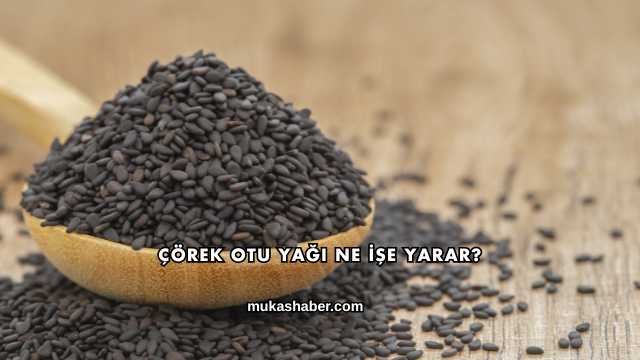 Çörek Otu Yağı Ne İşe Yarar?