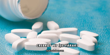 Crebros Ne İşe Yarar?