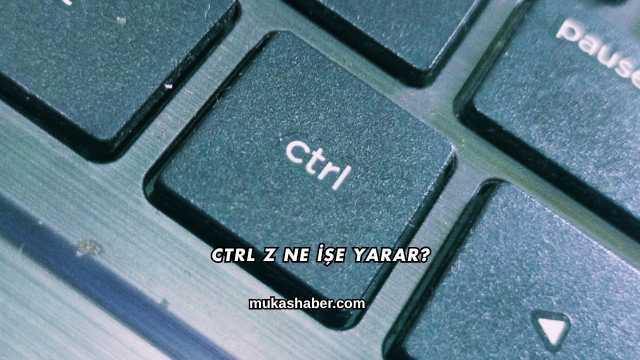 Ctrl Z Ne İşe Yarar?