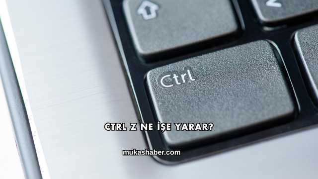 Ctrl Z Ne İşe Yarar?