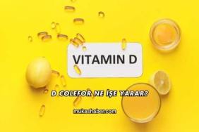 D Colefor Ne İşe Yarar?