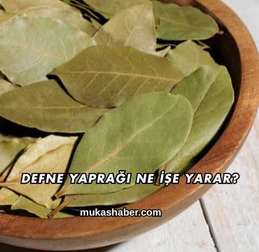 Defne Yaprağı Ne İşe Yarar?