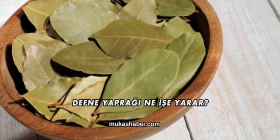 Defne Yaprağı Ne İşe Yarar?