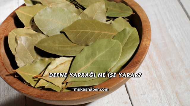 Defne Yaprağı Ne İşe Yarar?