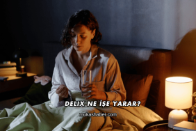 Delix Ne İşe Yarar?