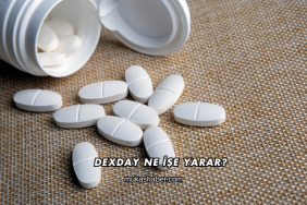 Dexday Ne İşe Yarar?