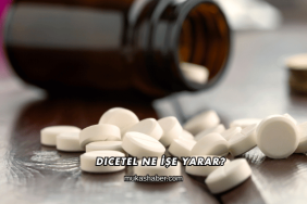 Dicetel Ne İşe Yarar?