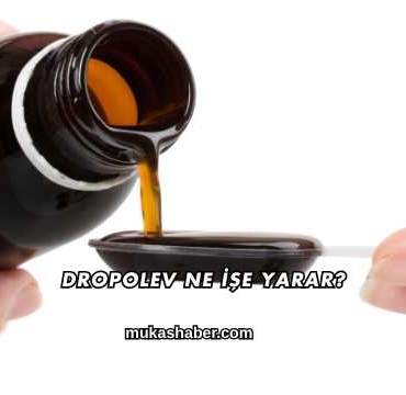 Dropolev Ne İşe Yarar?