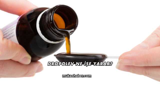 Dropolev Ne İşe Yarar?