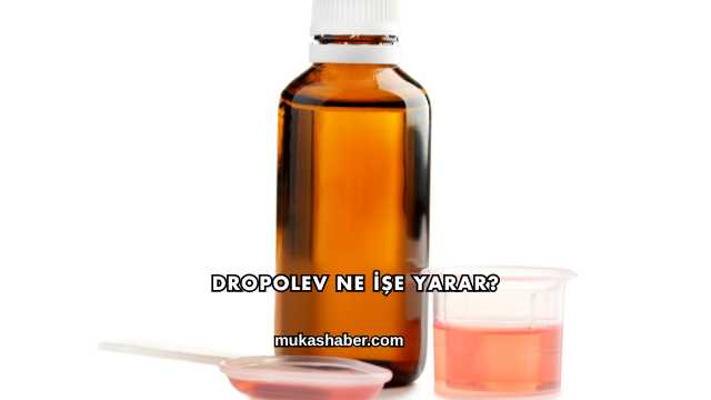 Dropolev Ne İşe Yarar?