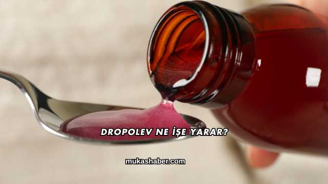 Dropolev Ne İşe Yarar?
