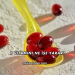 E Vitamini Ne İşe Yarar?