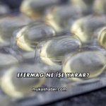 Efermag Ne İşe Yarar?