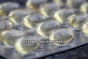 Efermag Ne İşe Yarar?