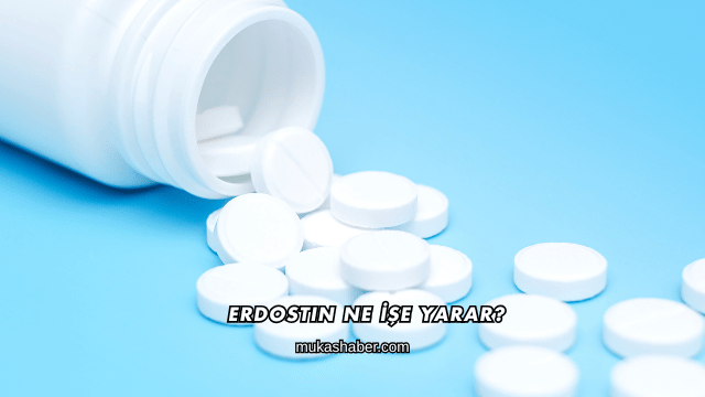 Erdostin Ne İşe Yarar?