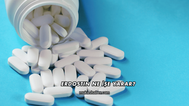 Erdostin Ne İşe Yarar?