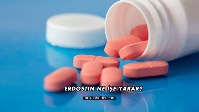 Erdostin Ne İşe Yarar?