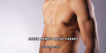 Erkek Memesi Ne İşe Yarar?