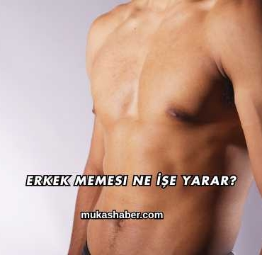 Erkek Memesi Ne İşe Yarar?