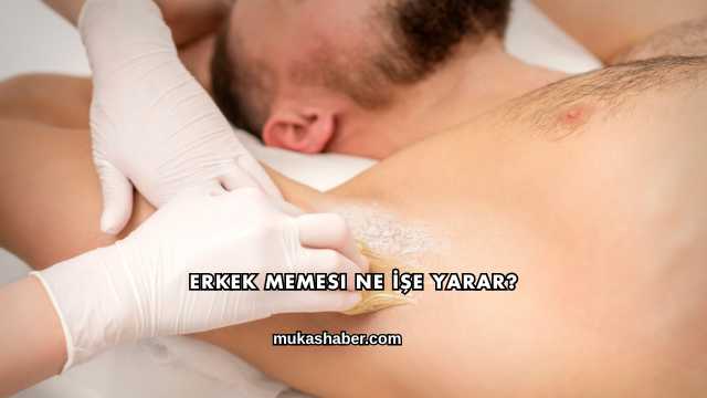 Erkek Memesi Ne İşe Yarar?