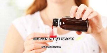 Evosten Ne İşe Yarar?