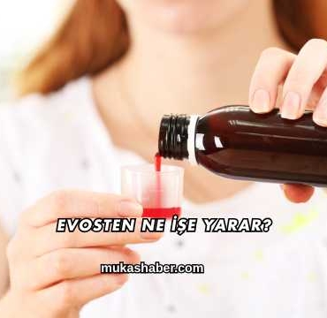 Evosten Ne İşe Yarar?