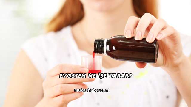 Evosten Ne İşe Yarar?