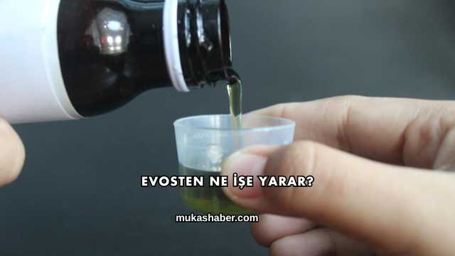 Evosten Ne İşe Yarar?
