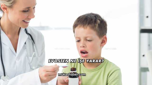 Evosten Ne İşe Yarar?