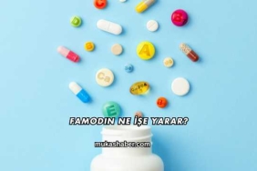 Famodin Ne İşe Yarar?