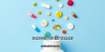 Famodin Ne İşe Yarar?