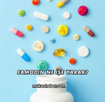 Famodin Ne İşe Yarar?